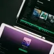 How To Download Individual Songs on Spotify