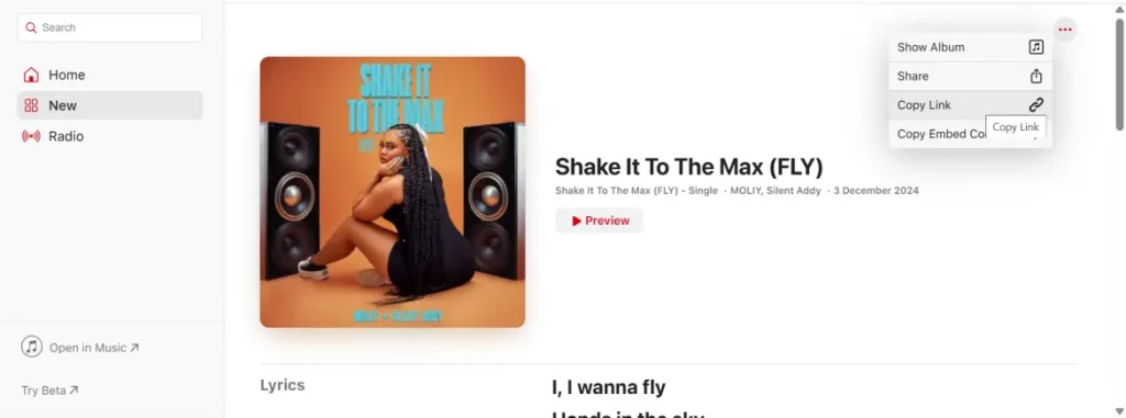 Apple Music song page showing how to copy a song link using the 'Copy Link' option